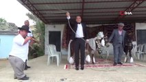 Görüntüler Türkiye'den: Eşeklere düğün yapıp nikah kıydılar