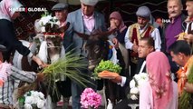 Adres Antalya: Nesli tehlike altında olan eşeklere gelinlik ve damatlık giydirip sembolik düğün yaptılar