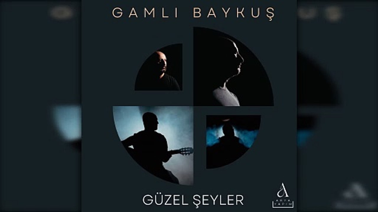 Gamlı Baykuş - Gece