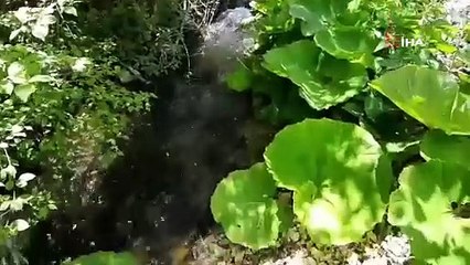 ''Sakin şehir'' ünvanlı Osmanlı kasabasındaki saklı cennet