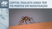 Estado de São Paulo registra 587 mortes por dengue em 2024