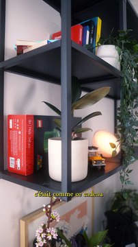 Comment vaincre la procrastination ?