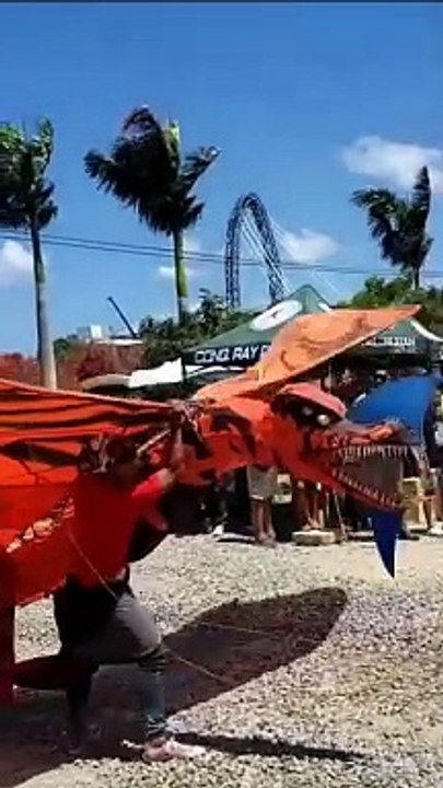 Avatar dragon flying