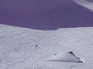 Ski Poudreuse