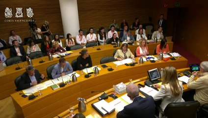 Compareixença de Joaquim Dolz a les Corts Valencianes