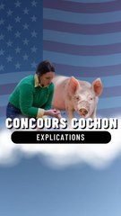 Concours de Cochons