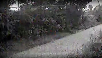 VÍDEO: Motorista é assassinado a tiros por dupla em moto no interior