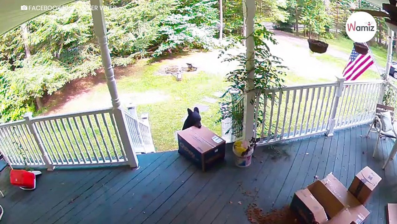 Paketbote behauptet, er habe ein verschwundenes Paket zugestellt: Überwachungsvideo enthülle unglaubliche Wahrheit!