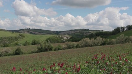 Generali e Gruppo Leone Alato inaugurano l'Oasi Gregorina