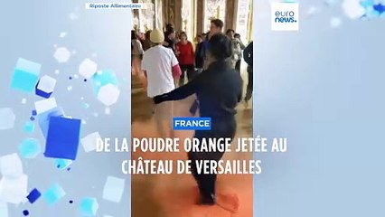 Château de Versailles : deux activistes de Riposte alimentaire interpellés après des jets de poudre