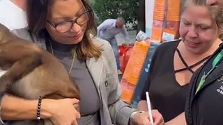 Janja adota cachorrinha resgatada em meio a tragédia de chuvas no RS