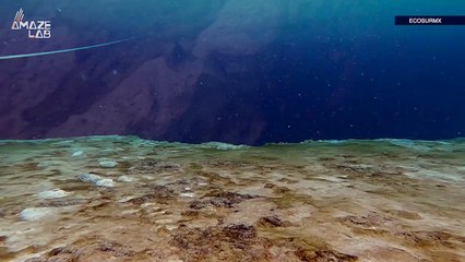 World’s Deepest Oceanic Blue Hole Could Actually Be an Underwater Tunnel