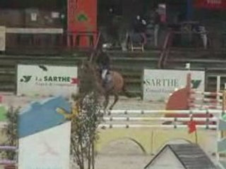 olmifon HORSE HUNTER jumper for sale 2002