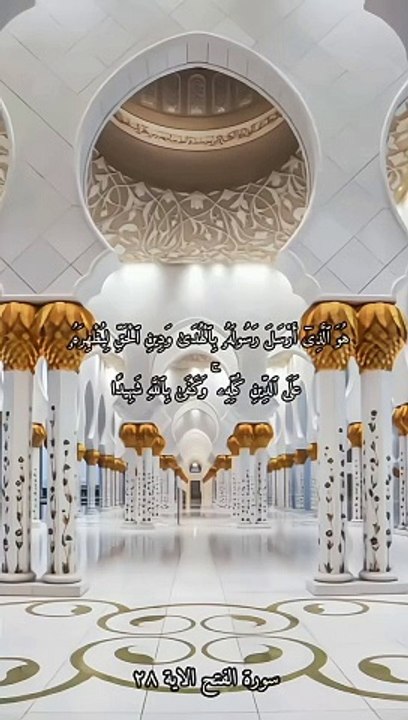 سورة الفتح بصوت الشيخ ياسر الدوسري الاية ٢٨