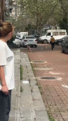 ❤️puppy dog happy mood