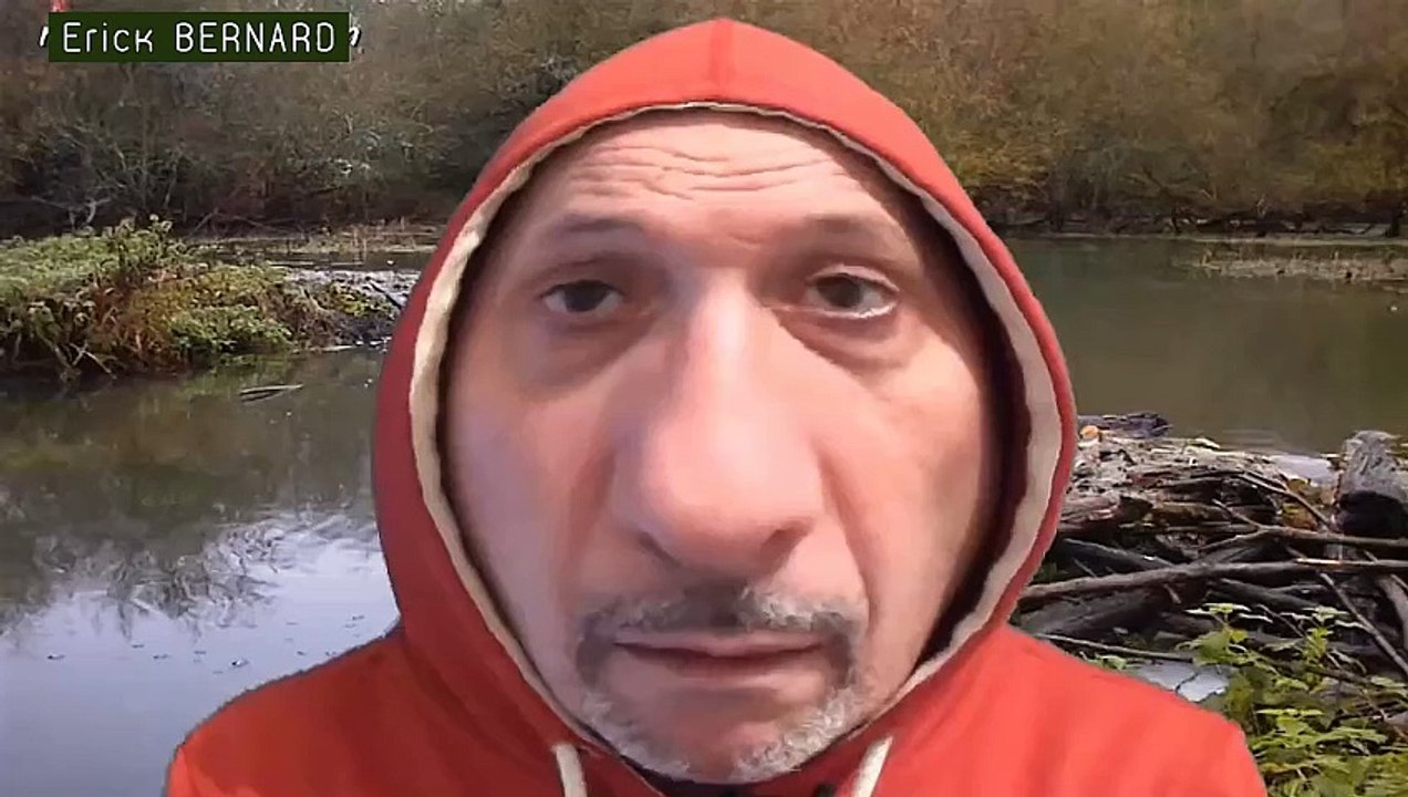Manger du castor