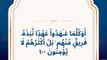 Quran surah Al baqarah verse 100 Arabic Urdu English