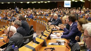 Revealed: MEPs’ millions in outside earnings