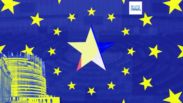 European elections: What do candidates promise? What do voters want?