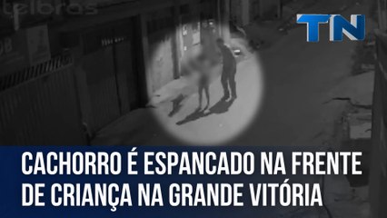Cachorro é espancado na frente de criança na Grande Vitória