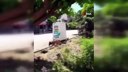 Bursa’da çocuklar dehşeti yaşamıştı! Polisin müdahalesi kamerada