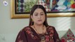 Dil Manay Na Episode 5 -l Madiha Imam l Aina Asif l Sania Saeed l Azfer Rehman [ ENG CC ] Green TV