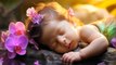 Baby falls asleep immediately within 3 minutes ♫ Gentle melody, intelligent development 34