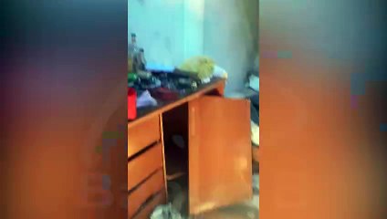 Vídeo mostra destruição em pensinato atingido por incêndio