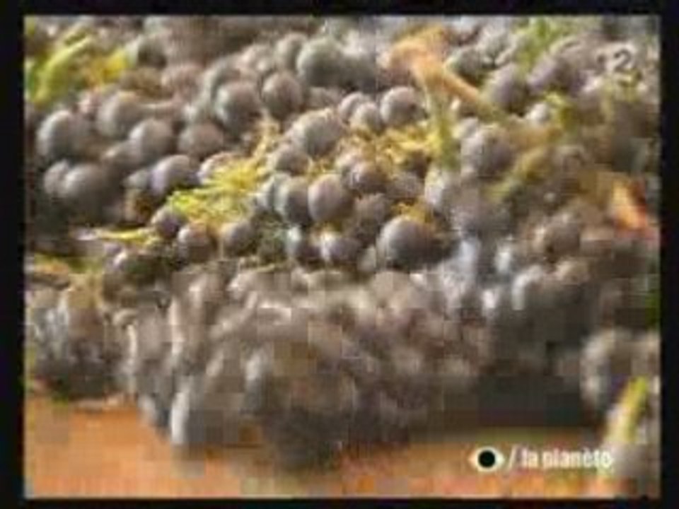 Maroc, le voile ou le bikini.1_8