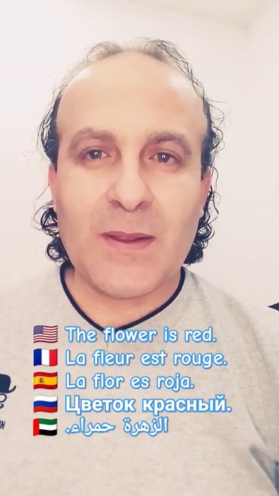 The flower is red. La fleur est rouge. La flor es roja. Цветок красный. الزهرة حمراء.