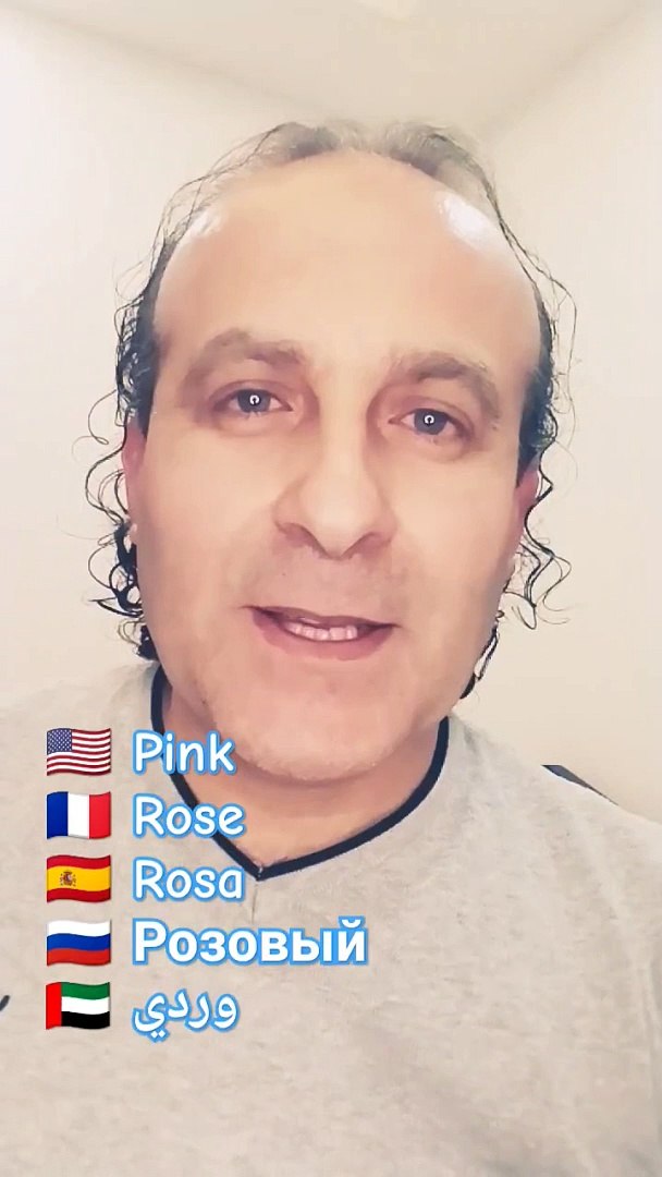 ⁣Pink Rose Rosa Розовый وردي