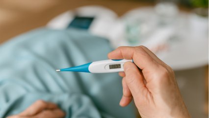 Fièvre de Lassa : faut-il craindre une vague épidémique en France ?