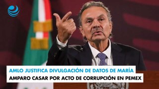 AMLO justifica divulgación de datos de María Amparo Casar por acto de corrupción en Pemex