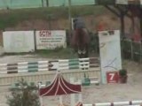 esperito HORSE HUNTER jumper for sale 2004