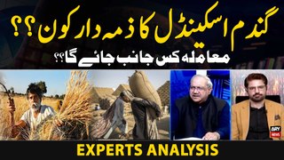 Who is responsible for the wheat scandal? Experts Analysis