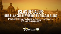 Islas de Calor: Una plancha hirviendo en Guadalajara | II: Mucha tala y construcción… ¿y los parques?
