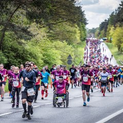 Wings for Life World Run 2024