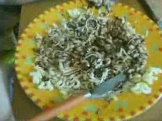 Amandine pauline romane