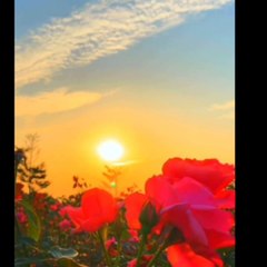 Sevdalıyım Rasullaha | Gönülleri Yakan Aşk İlahi 🎶