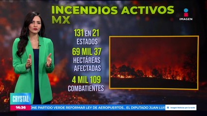 Al momento se reportan 131 incendios activos en México