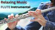 Relaxing Flute Instrumental | Soothing Music | Mind Relaxing Music |