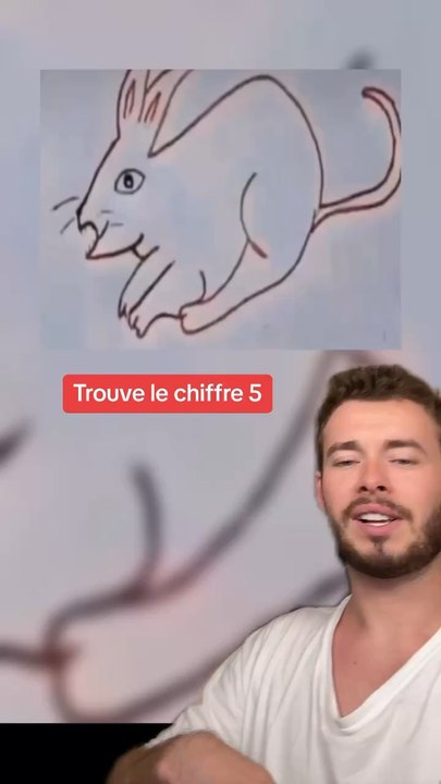 Trouve le chiffre 5 (Exlu Dailymotion)