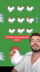 Combien de coqs vous voyez ? (Exlu Dailymotion)