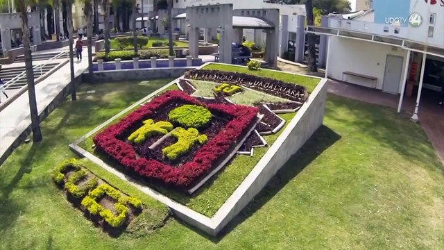 A través del Festival de la Ciencia al Servicio de la Salud, CUCS ofrece cinco mil atenciones al día