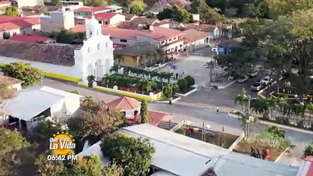 Transmisión en Vivo (4103)