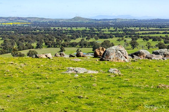 Woodnaggerak Farm, Middle Creek | May 7, 2024 | Farmonline