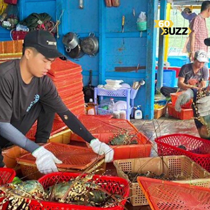 អស់ពីហ្វូងត្រី ហ្វូងបង្គារ វៀតណាមជួបវិនា--សក--ម្មបង្កងងា--ប់ទ្រង់ទ្រាយធំ!