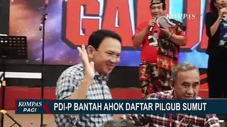 PDIP Bantah Basuki Tjahaja Purnama Alias Ahok Maju Pilgub Sumut November Nanti