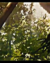 Top Dangerous Short Scenes in Hollywood 🎬