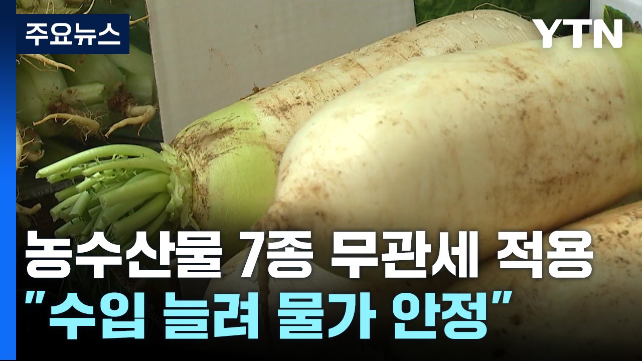 '배추·양배추·마른김' 오늘부터 할당관세..."수입 늘려 물가 안정" / YTN